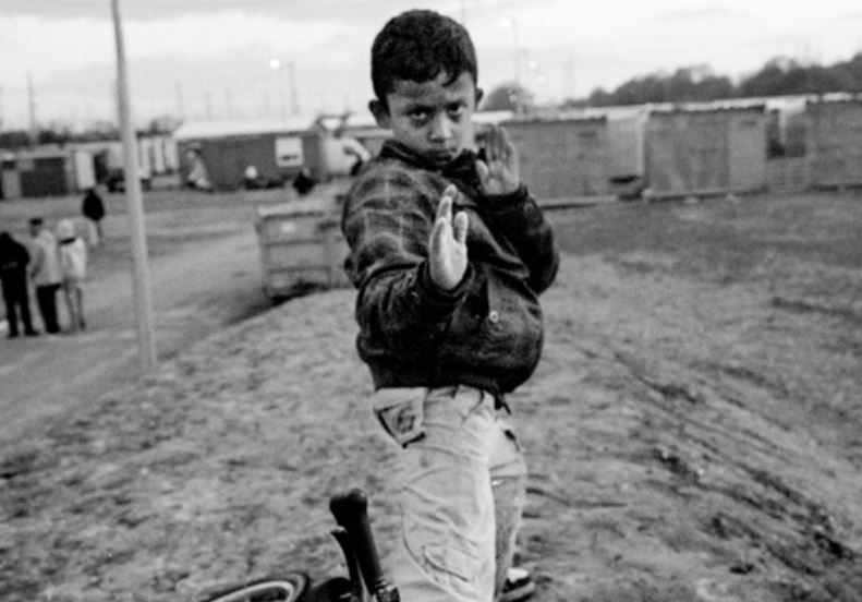 Cilento - Le ultime  Notizie foto - 15092018 jungle.JPG