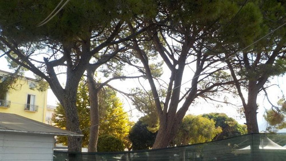 15092021 pini sapri 15092021 pini sapri