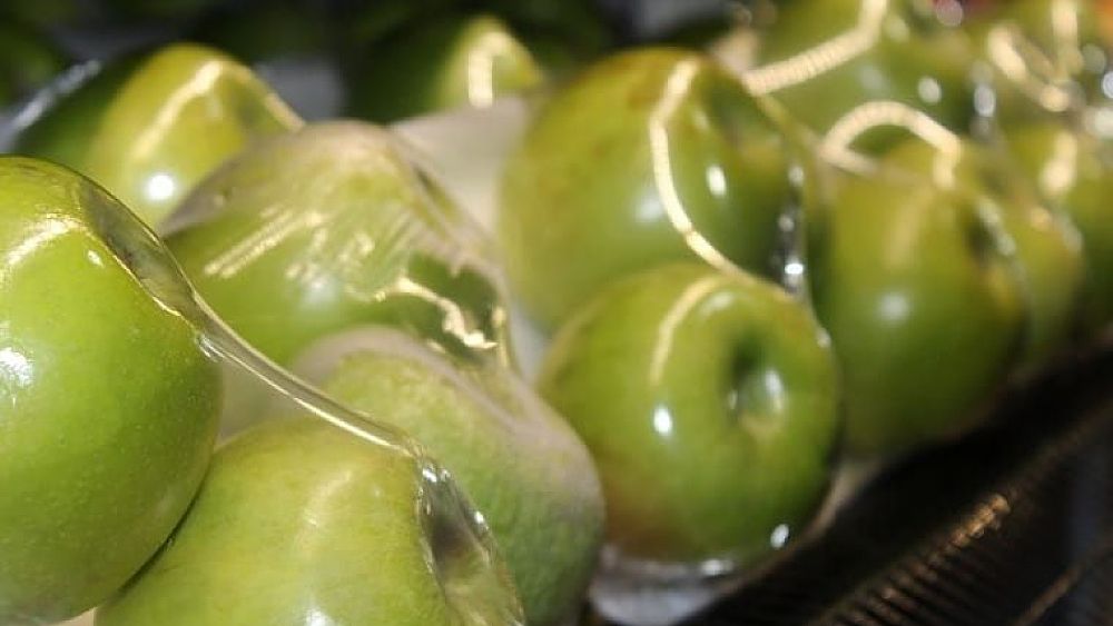 15092022 plastica riciclata alimenti 15092022 plastica riciclata alimenti