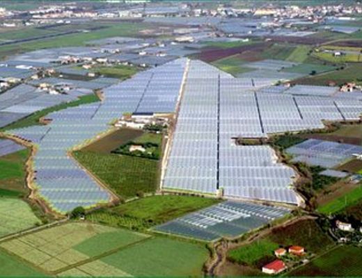 15102013 agricoltura piana del sele