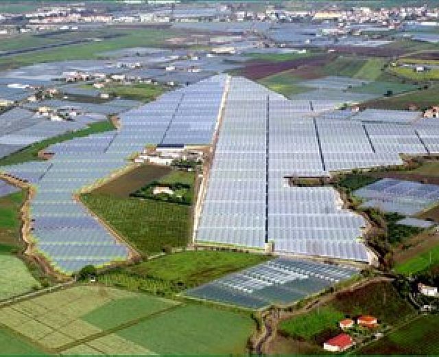 15102013 agricoltura piana del sele