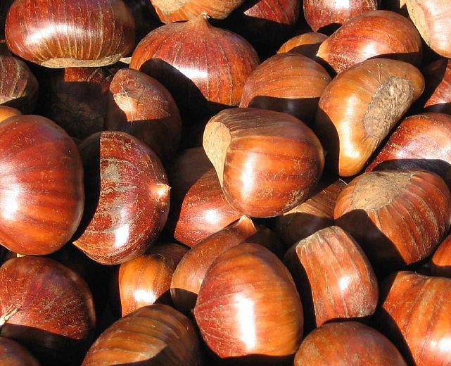 15102015 festa della castagna