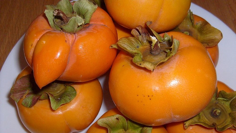 15102017 frutta cachi