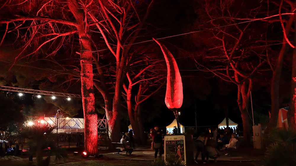 15102018 sapri pic day 15102018 sapri pic day