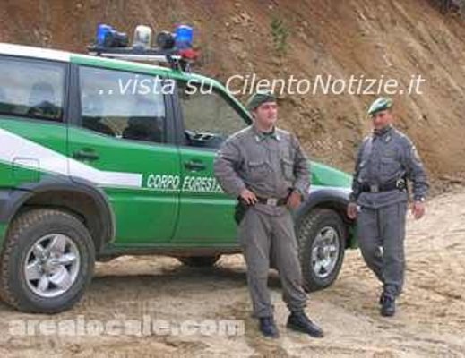 15112012 foto foresale 1