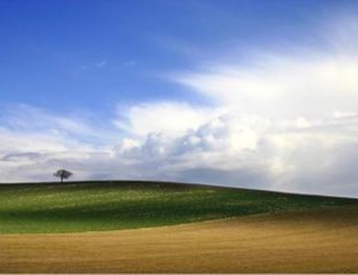 16012013 sviluppo locale