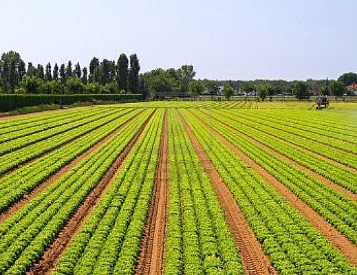 16012015 agricoltura ed economia