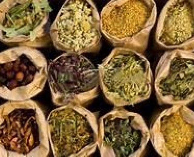 16012015 fitoterapia 16012015 fitoterapia