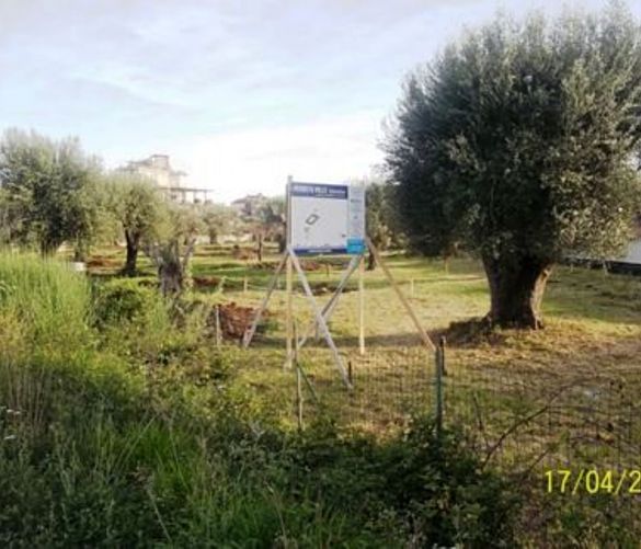 Paolo-Abbate foto - 16012017 stop consumo suolo