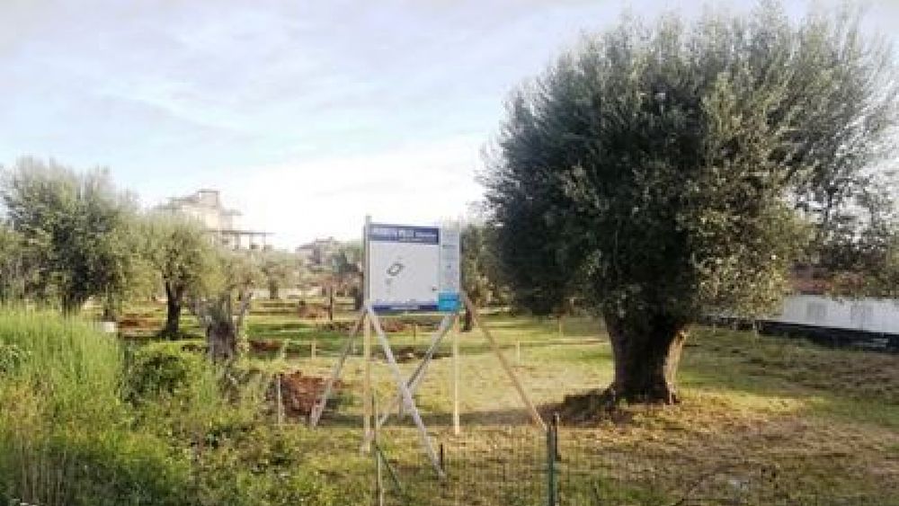 16012017 stop consumo suolo 16012017 stop consumo suolo