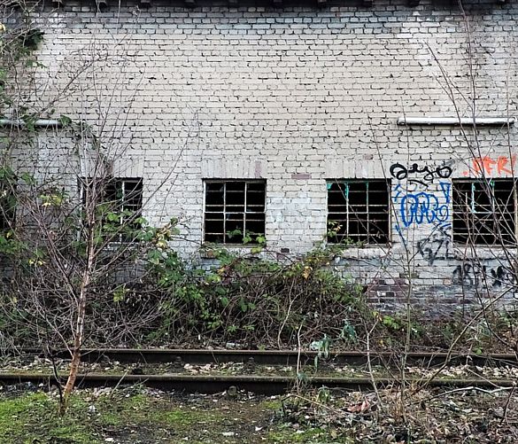 Giuseppe-Lembo foto - 16012019 palazzo disabitato