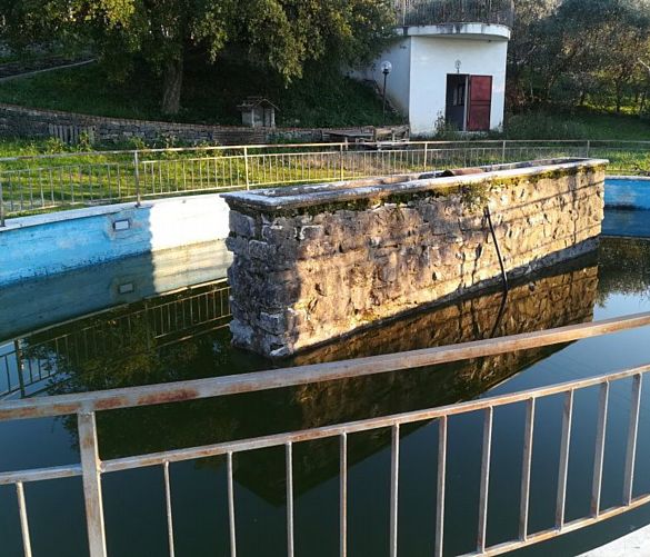 16012020 Piazzale Fontana Canne a Doglie2