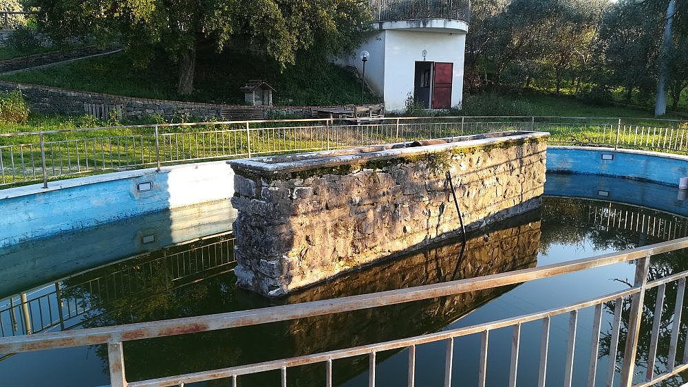 16012020 Piazzale Fontana Canne a Doglie2