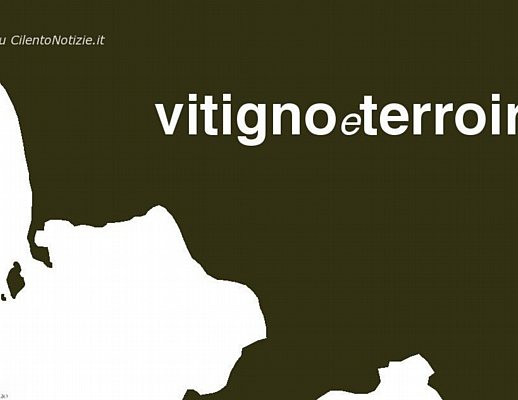 16022013 vitigno e terroir