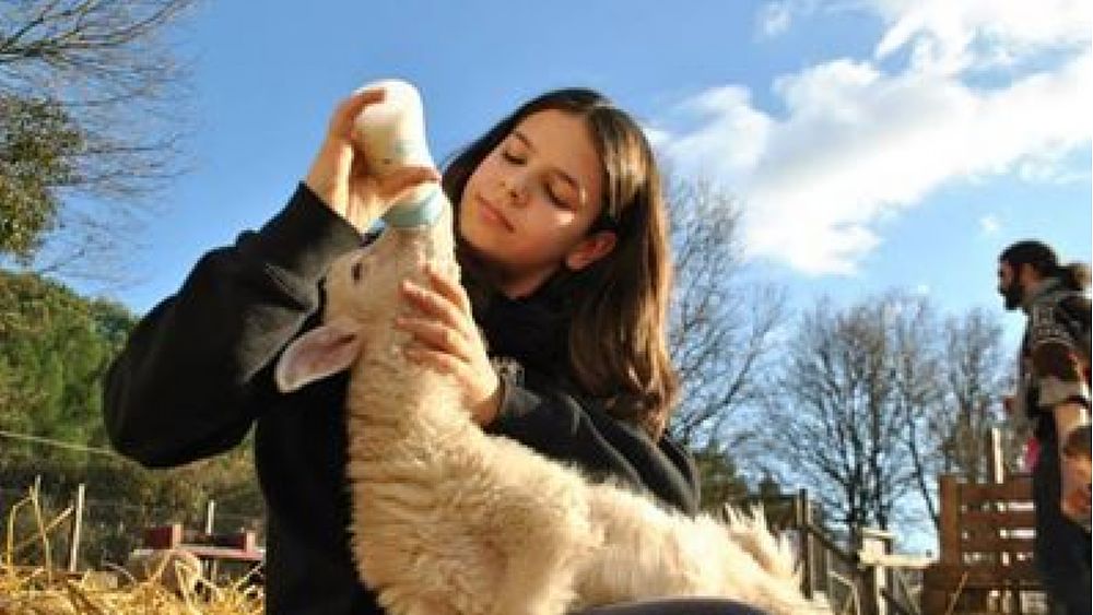 16022018 santuari animali 1 16022018 santuari animali 1