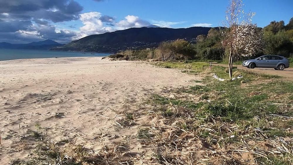 16032016 giglio di mare maltrattato