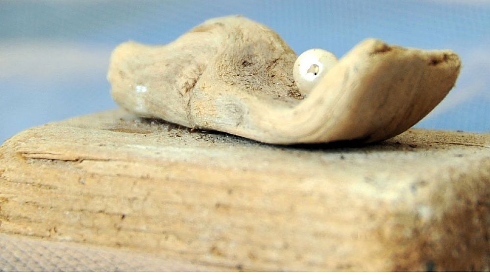 16032017 sculture g saporito