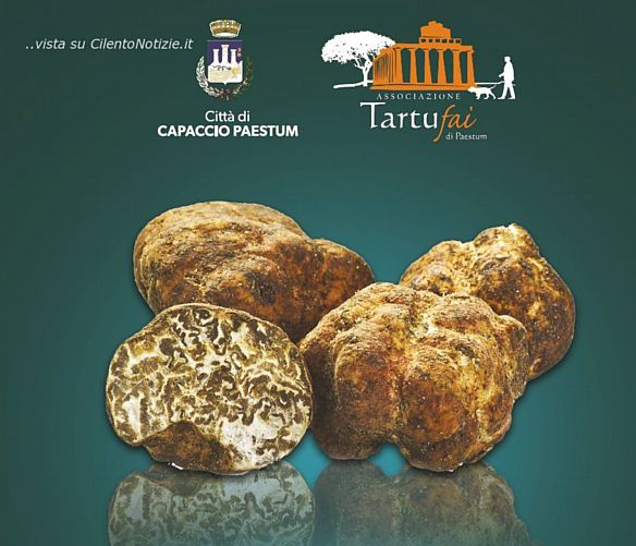 16032018 tartufo bianchetto