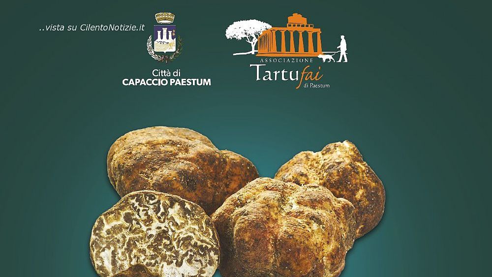 16032018 tartufo bianchetto