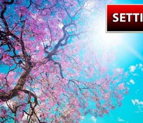 16032020 arrivata la primavera