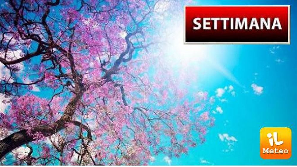 16032020 arrivata la primavera