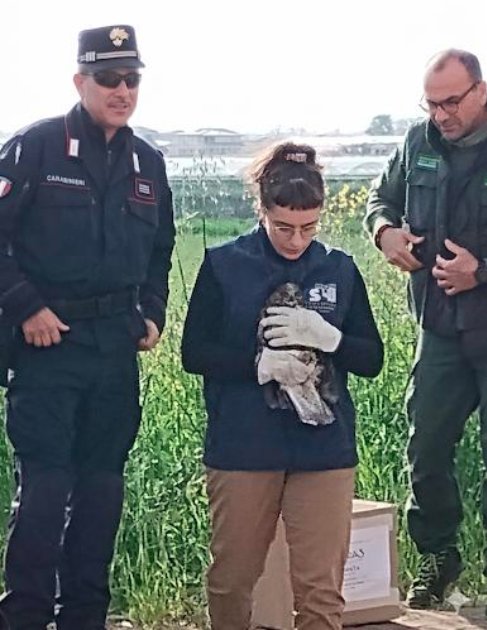 protezione natura silentum wwf