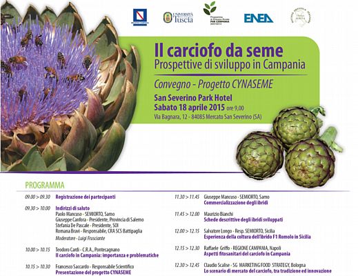 16042015 carciofo da seme