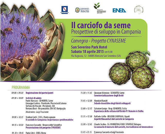 16042015 carciofo da seme