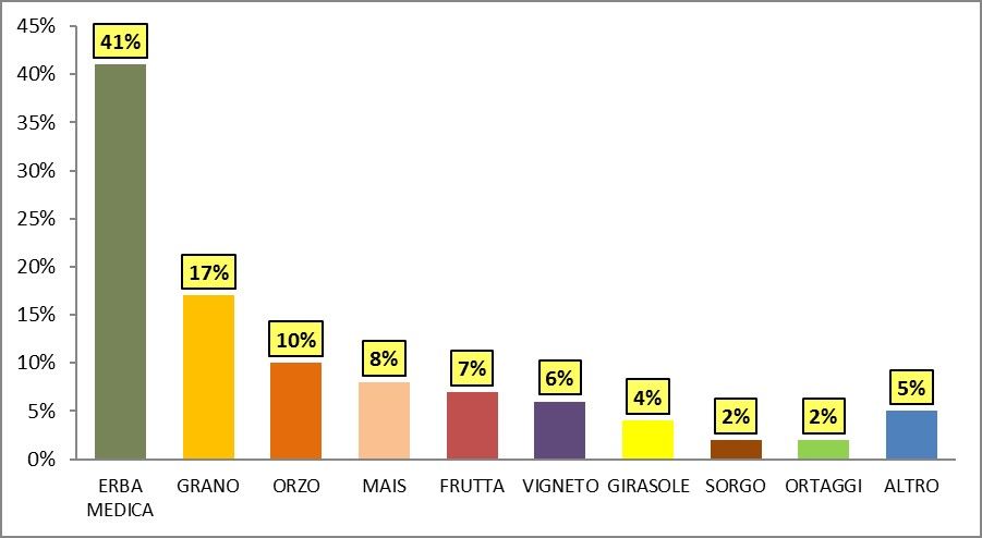 grafico danni