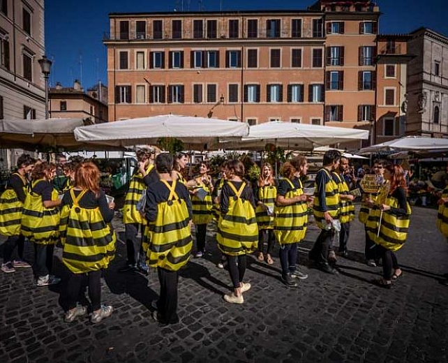 16062013 Greenpeace api