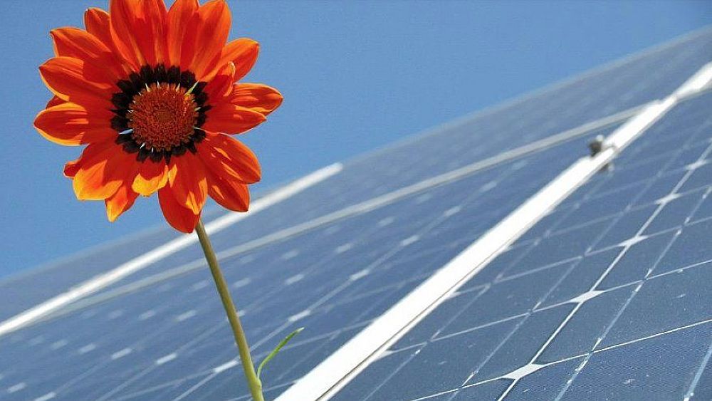 16062022 rinnovabili 16062022 rinnovabili