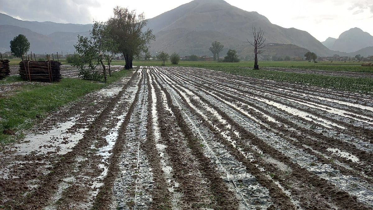 16062025 grandinata nel vallo di diano 16062025 grandinata nel vallo di diano