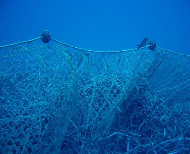 16072013 rete in mare