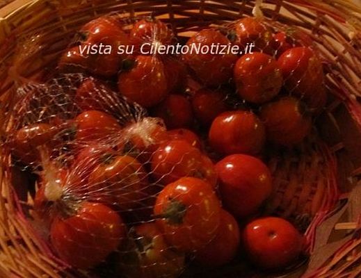 16082014 sagra melanzana rossa cesto