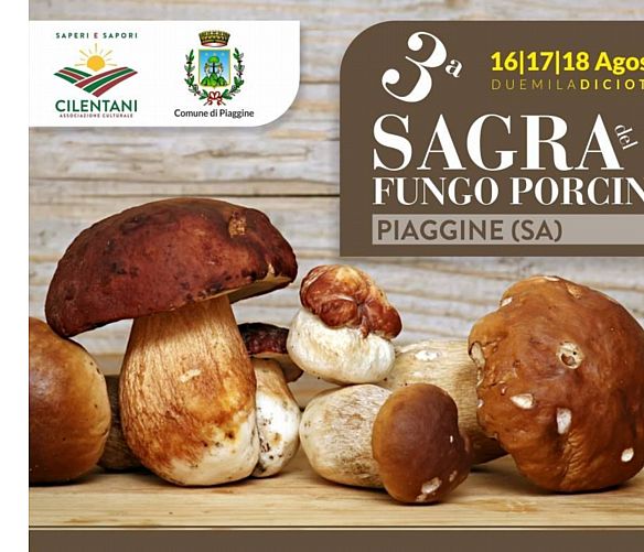 16082018 piaggine fungo porcino