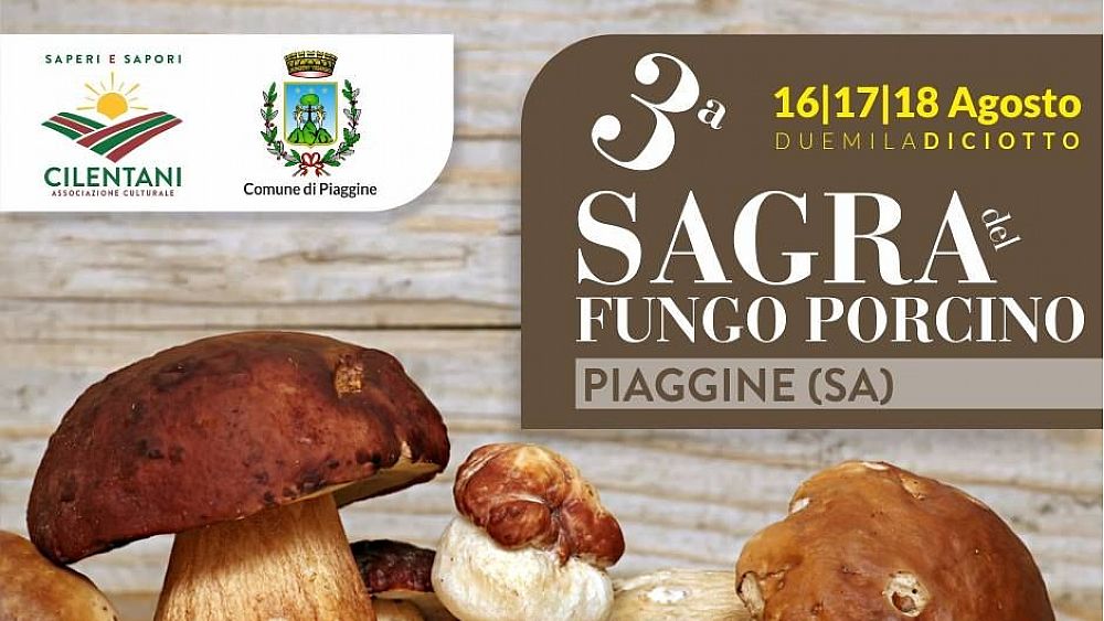 16082018 piaggine fungo porcino