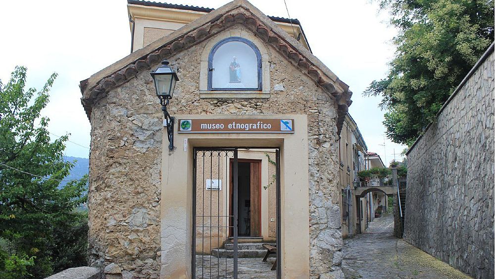 16082023 museomorigerati