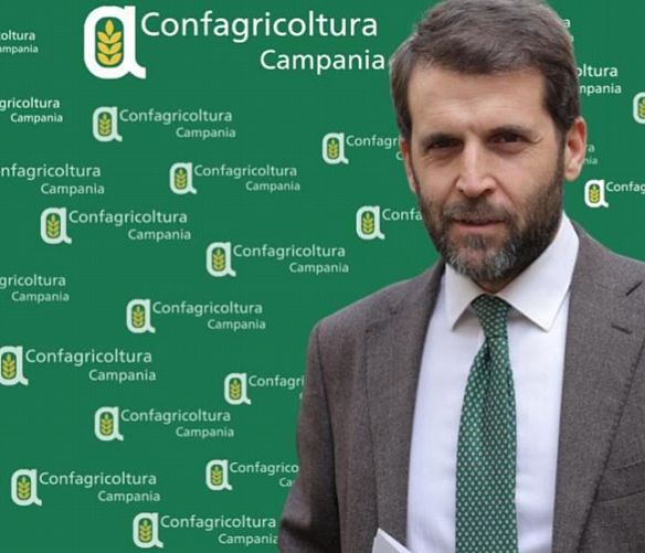 16092025 paolo conte direttore campania