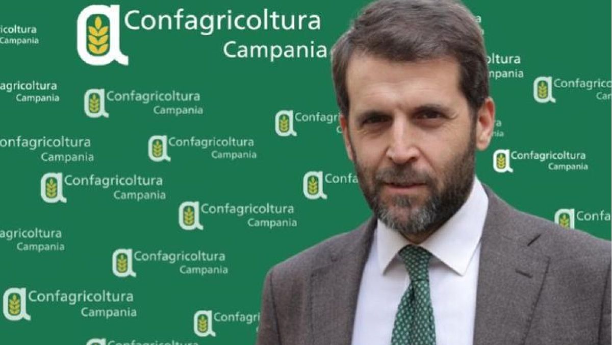 16092025 paolo conte direttore campania 16092025 paolo conte direttore campania