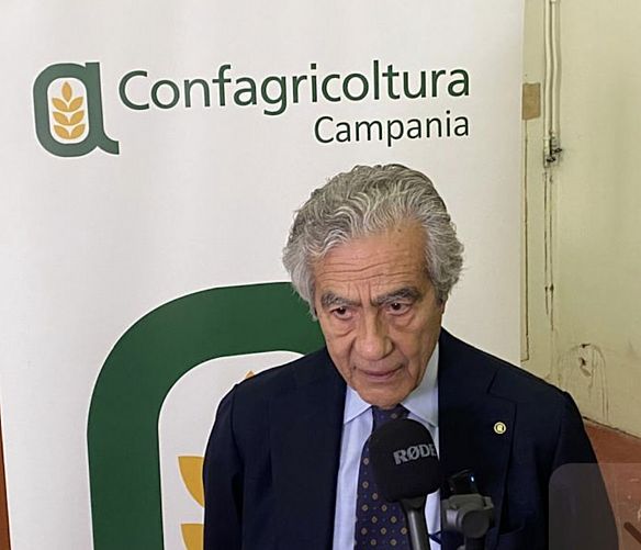 16092025 presidente marzano