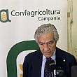 Economia foto - 16092025 presidente marzano