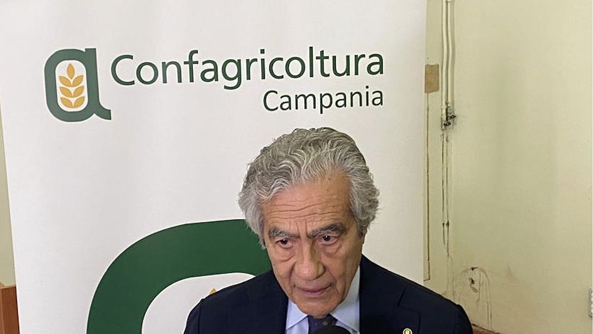 16092025 presidente marzano 16092025 presidente marzano