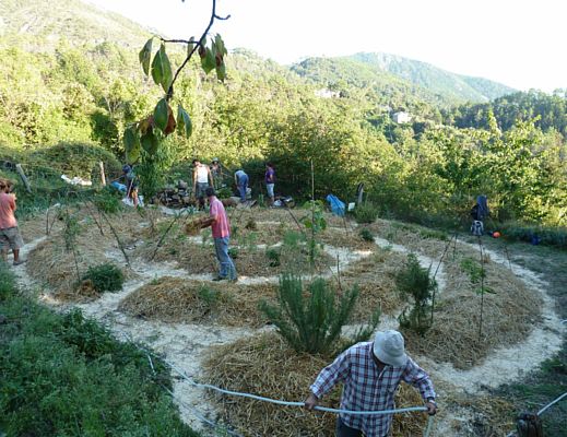 16102014 agricoltura sinergica