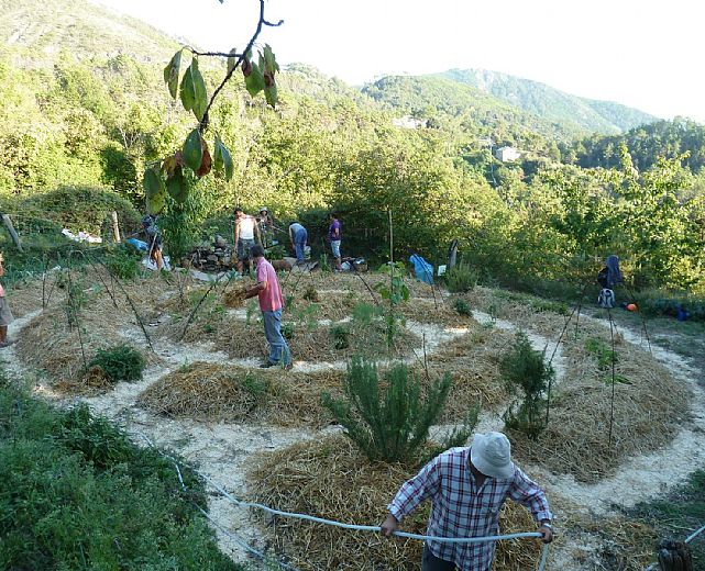 16102014 agricoltura sinergica