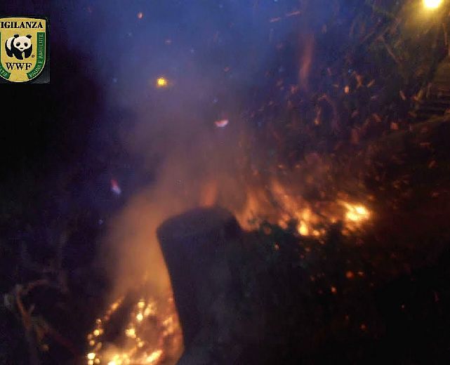 16102015 rogo quercia