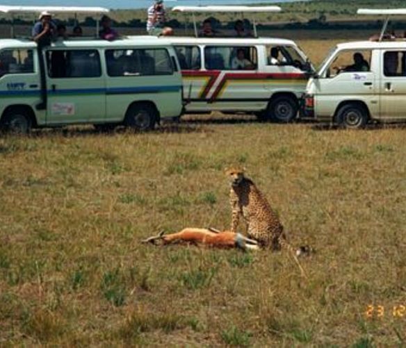 Paolo-Abbate foto - 16102017 art abbate 1