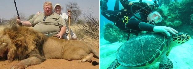 art abbate animali e turismo