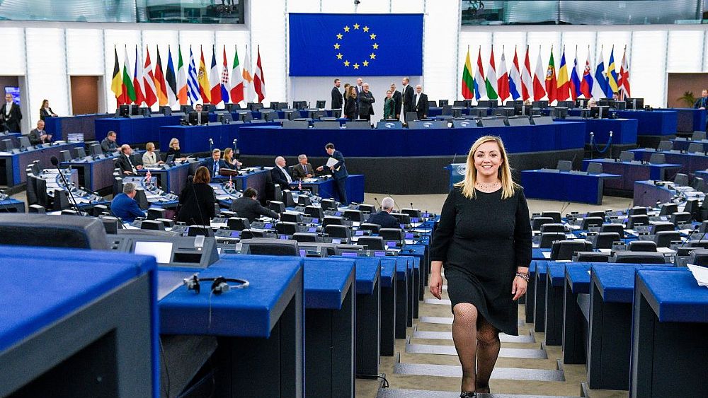 16102020 adinolfi in parlamento eu