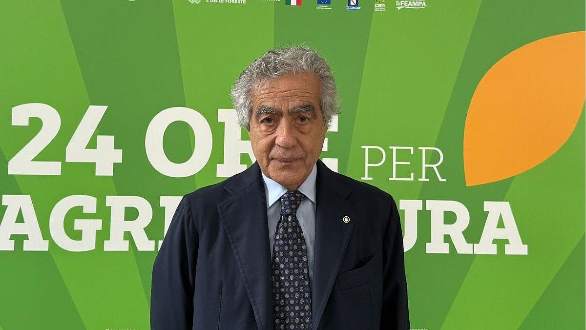 16102025 presidente marzano 16102025 presidente marzano