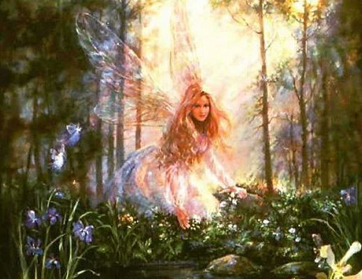 Tonino-Luppino foto - 16112014 fate nel parco